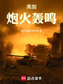亮剑:炮火轰鸣笔趣阁