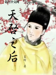 天启以后看什么