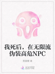 我死后，在无限流伪装高危NPC