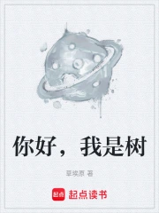 你好，我是树