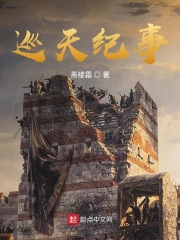 巡天公来历