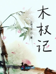 木杈记2
