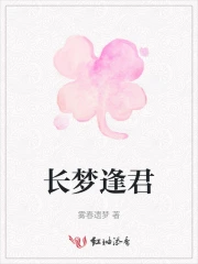 长梦为君倾