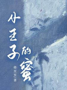 小王子又名