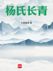 杨氏太极长拳视频
