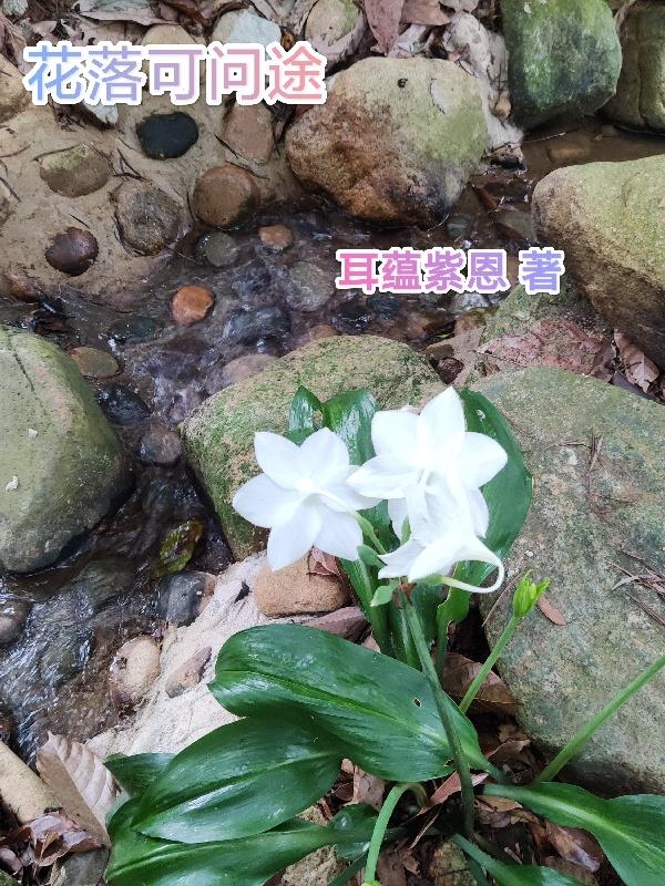 花落半落途