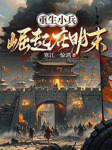 你却征服全世界小说
