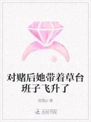 对赌 txt