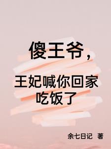 傻子王妃的小说