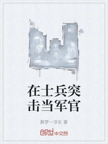 在士兵突击当军官