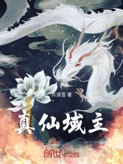 仙域仙证怎么用