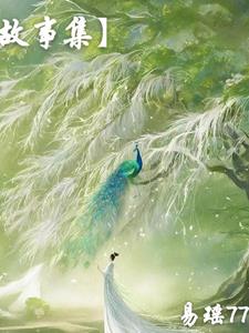 故事集是什么意思