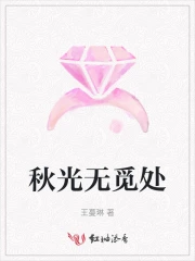 秋光无觅处
