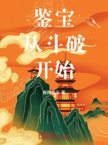 穿越鉴宝的小说
