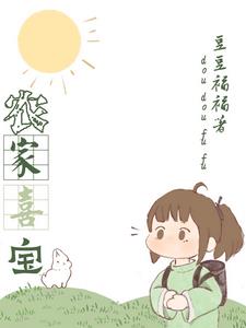 农家喜宝小说