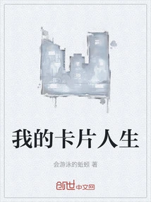 我的卡片人生