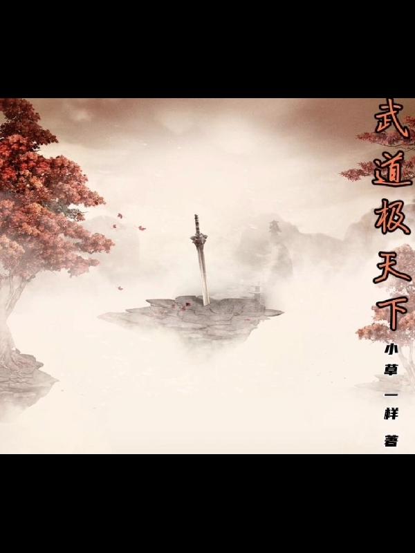 武道天下小说