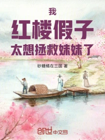 红楼之我要