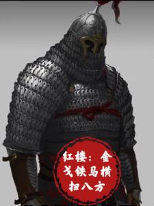 红楼:金戈铁马横扫八方免费阅读