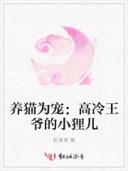 养猫为妃摄政王别乱来全集无广告