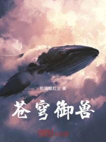 盾御苍穹 小说