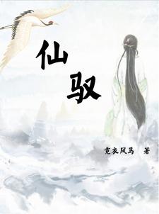 仙驭惊鸿小说