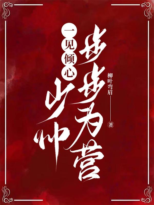小说《一见倾心》