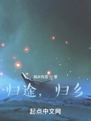 归途简介