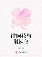 徘徊花与荆棘鸟的故事