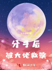 分手后我嫁给了神秘大佬