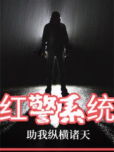 红警系统类小说完结