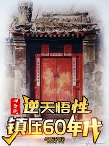 四合院4进