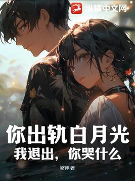 你出你的轨免费全文