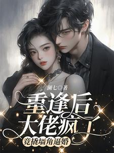 重生傅先生好久不见小说全文阅读