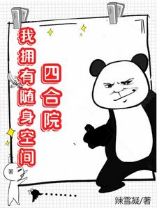 四合院:我拥有随身空间小说