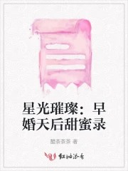 星光璀璨全文免费阅读