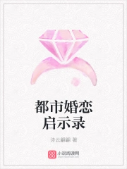 都市婚恋启示录