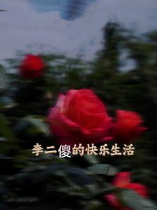 李二傻是什么意思