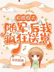 随军后我疯狂送崽晋江