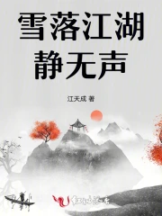 小说雪落无声