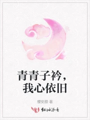 青青子衿悠悠我心的子衿是什么意思