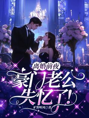 小说第一章离婚前