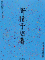 寄情予你小说
