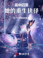 画中画小说