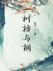 一树梧桐的小说