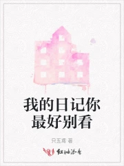 你别看我的日记小说