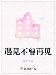 不曾遇见英文