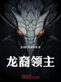 龙裔领主 小说