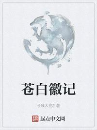 苍白本怎么打