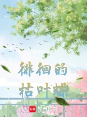 枯叶蝶的歌词